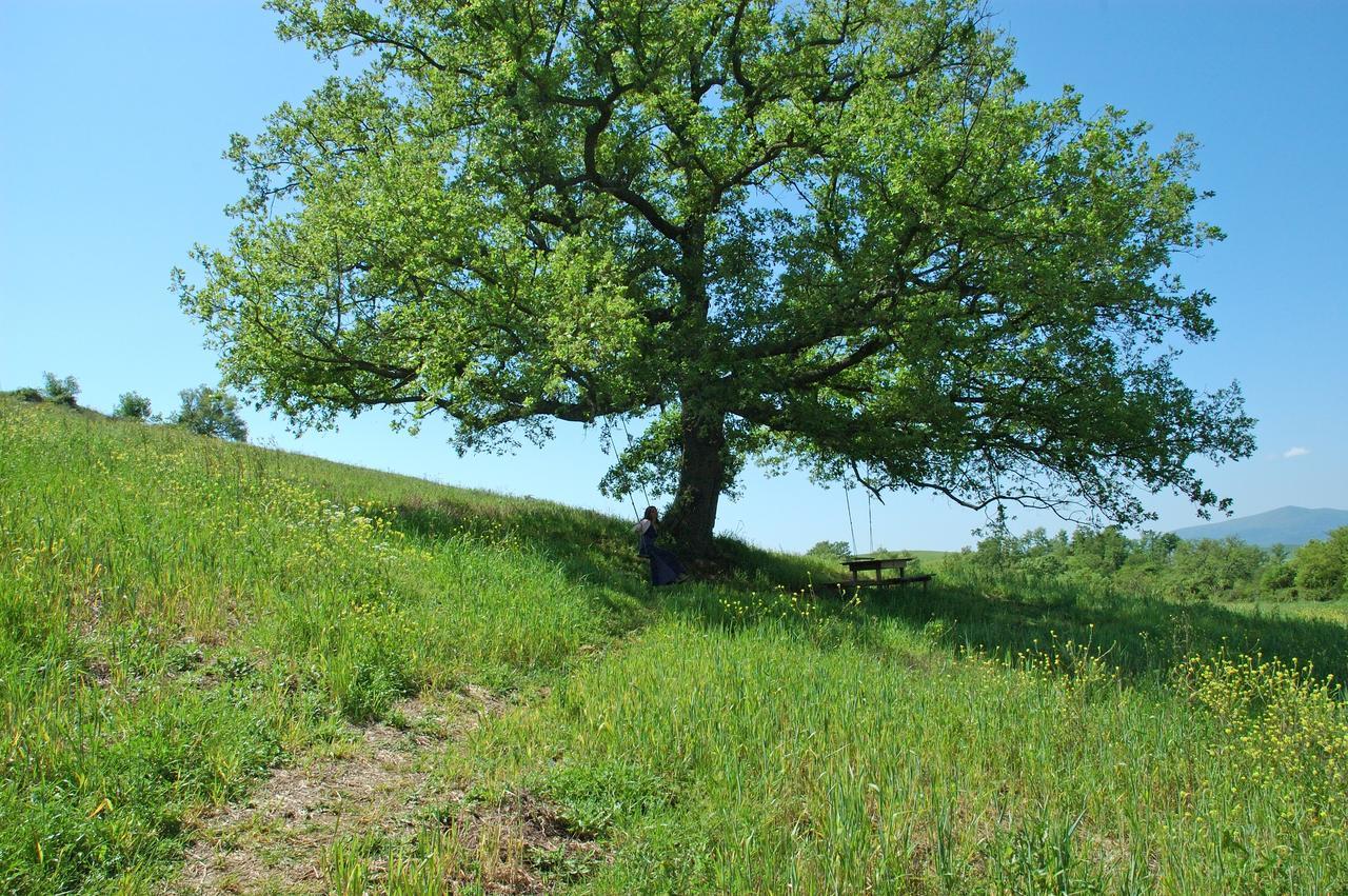 Monte Antico Podere Santa Maria מראה חיצוני תמונה